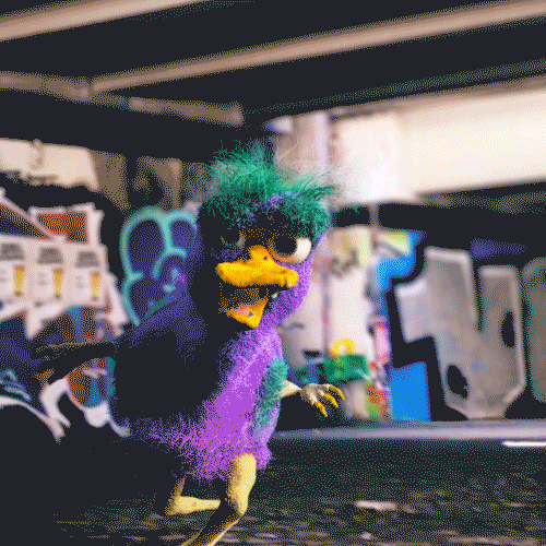 Street Duck